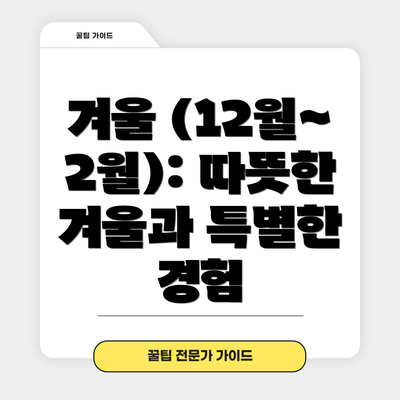 겨울 (12월~2월): 따뜻한 겨울과 특별한 경험