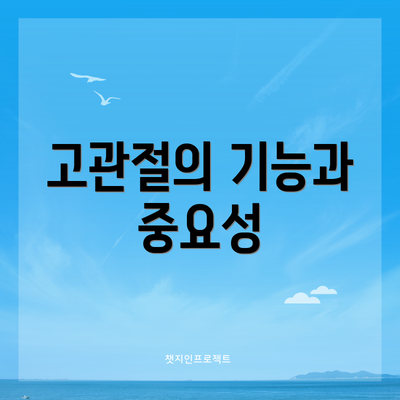 고관절의 기능과 중요성