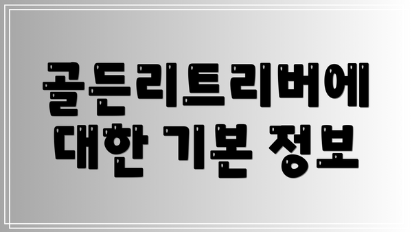골든리트리버에 대한 기본 정보