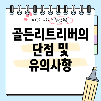 골든리트리버의 단점 및 유의사항