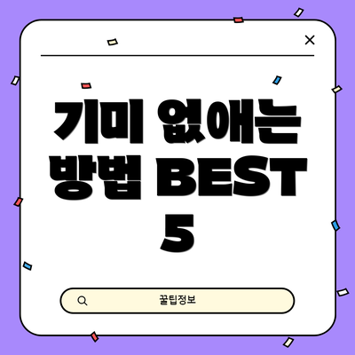 기미 없애는 방법 BEST 5
