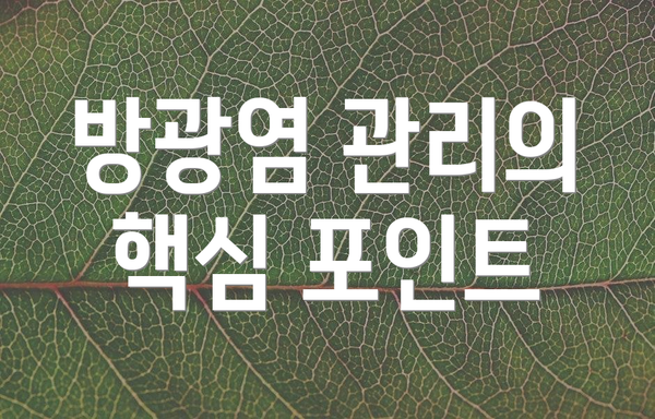 방광염 관리의 핵심 포인트