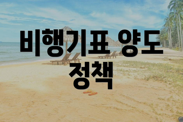 비행기표 양도 정책