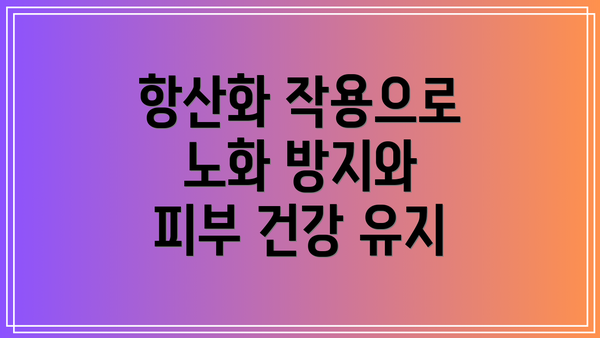 항산화 작용으로 노화 방지와 피부 건강 유지
