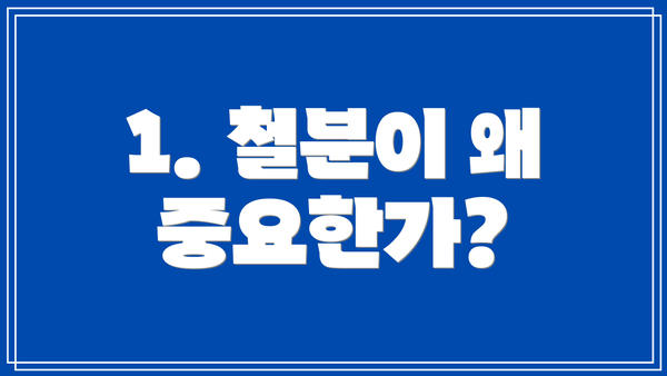 1. 철분이 왜 중요한가?