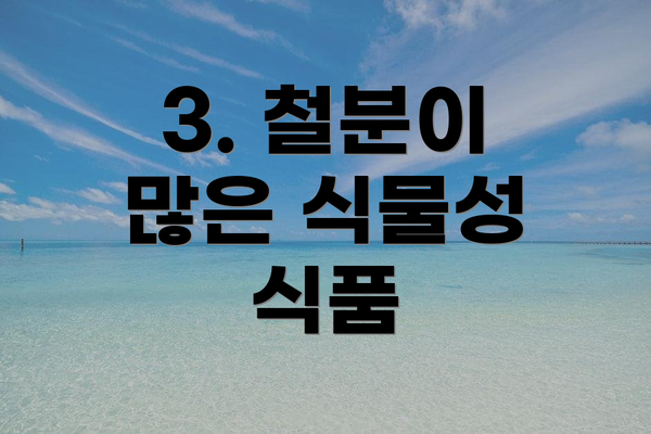 3. 철분이 많은 식물성 식품