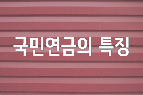 국민연금의 특징