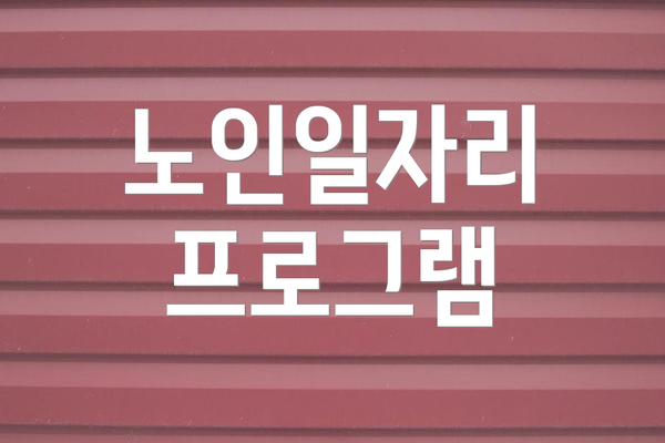 노인일자리 프로그램