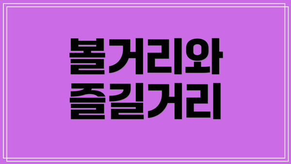 볼거리와 즐길거리