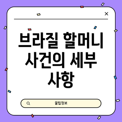 브라질 할머니 사건의 세부 사항