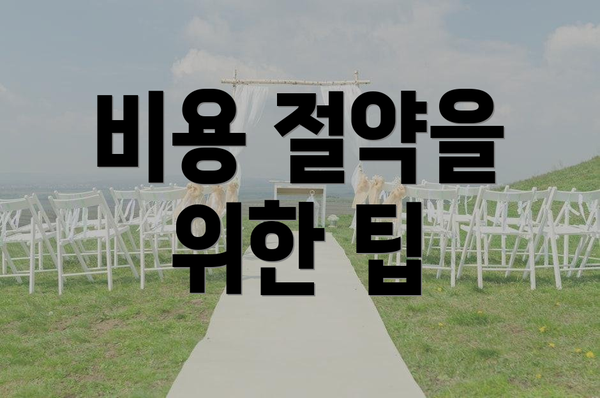 비용 절약을 위한 팁