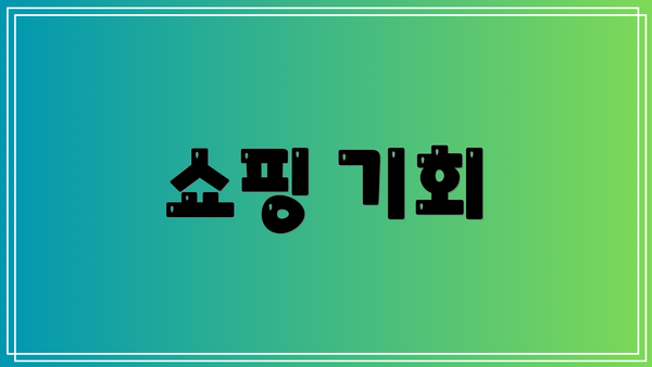 쇼핑 기회