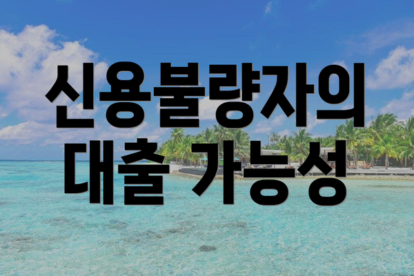 신용불량자의 대출 가능성