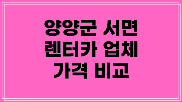 양양군 서면 렌터카 업체 가격 비교