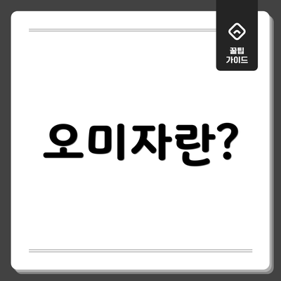오미자란?