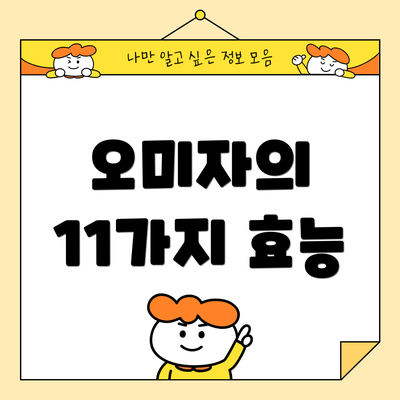 오미자의 11가지 효능