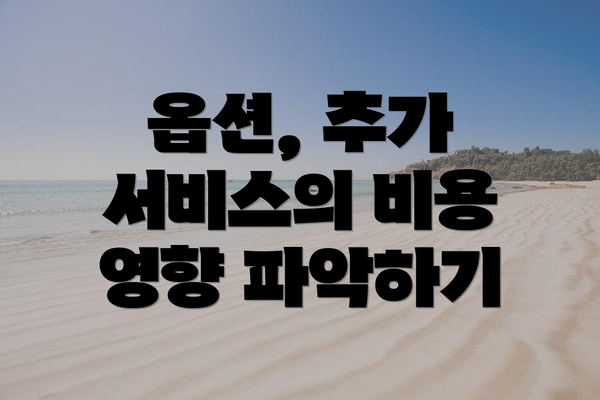 옵션, 추가 서비스의 비용 영향 파악하기