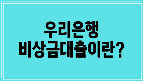우리은행 비상금대출이란?