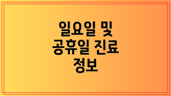 일요일 및 공휴일 진료 정보