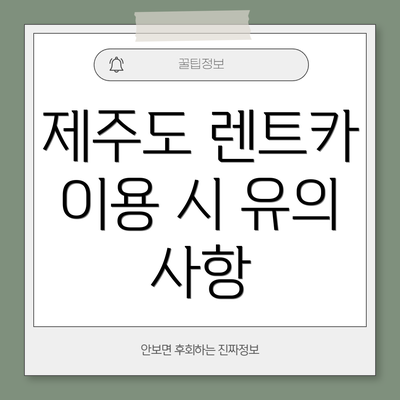 제주도 렌트카 이용 시 유의 사항
