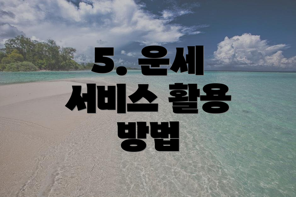 5. 운세 서비스 활용 방법