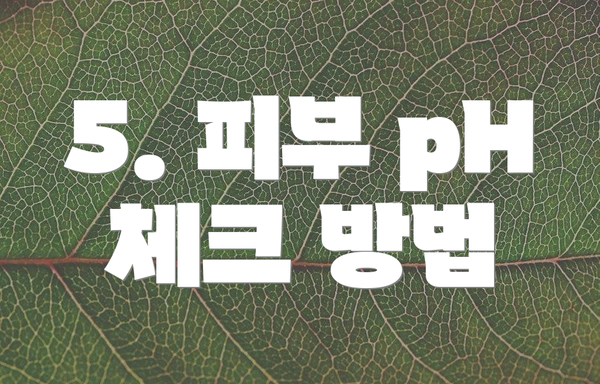 5. 피부 pH 체크 방법