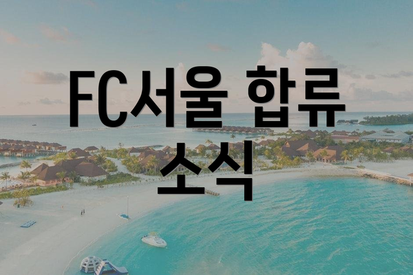 FC서울 합류 소식