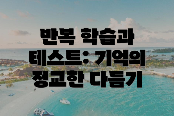 반복 학습과 테스트: 기억의 정교한 다듬기