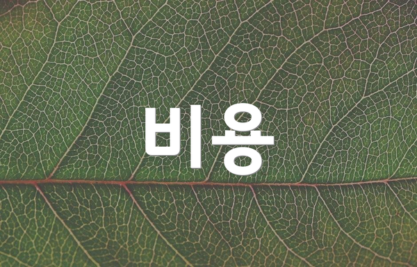 비용