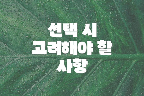 선택 시 고려해야 할 사항