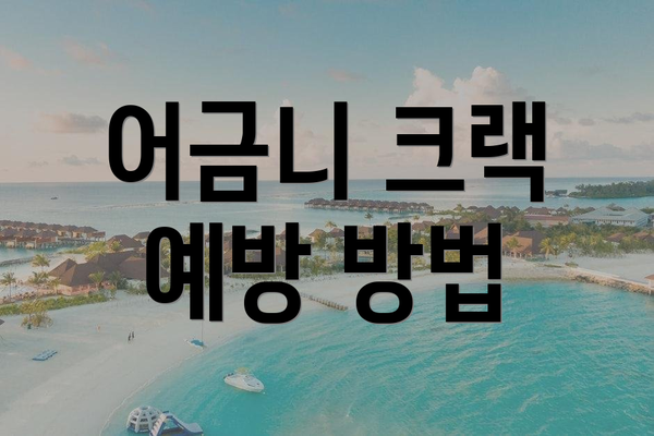 어금니 크랙 예방 방법