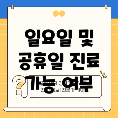 일요일 및 공휴일 진료 가능 여부