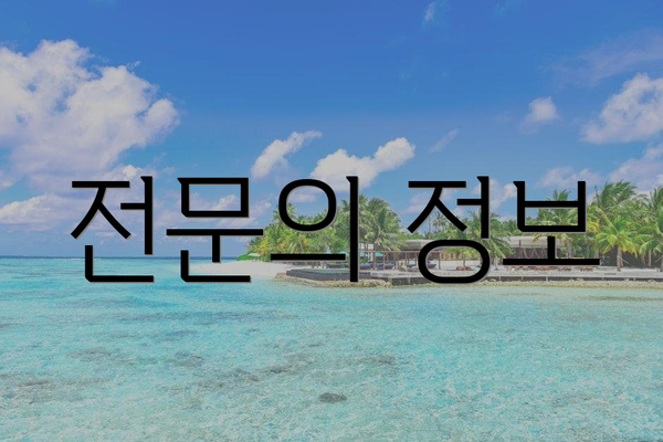 전문의 정보