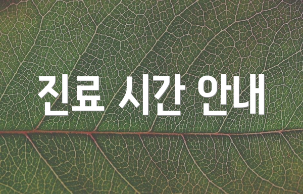 진료 시간 안내