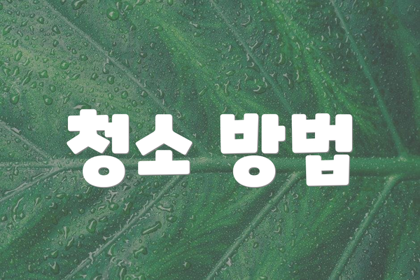 청소 방법