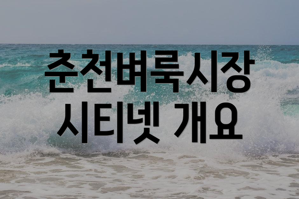 춘천벼룩시장 시티넷 개요