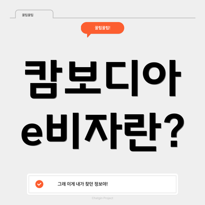 캄보디아 e비자란?