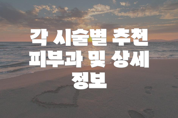 각 시술별 추천 피부과 및 상세 정보