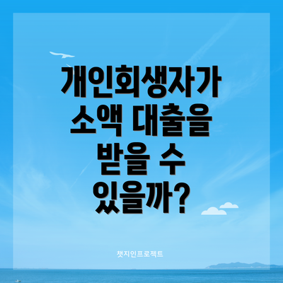 개인회생자가 소액 대출을 받을 수 있을까?