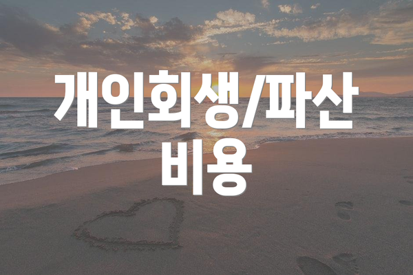 개인회생/파산 비용