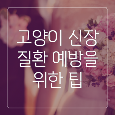 고양이 신장 질환 예방을 위한 팁