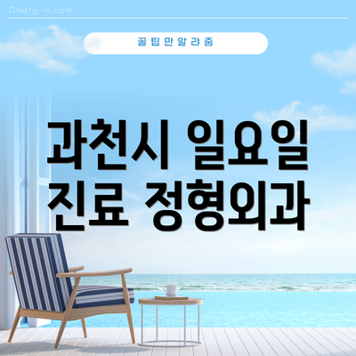 과천시 일요일 진료 정형외과