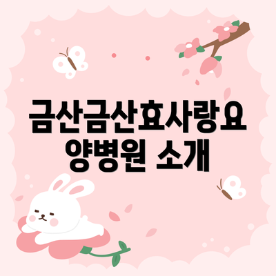 금산금산효사랑요양병원 소개