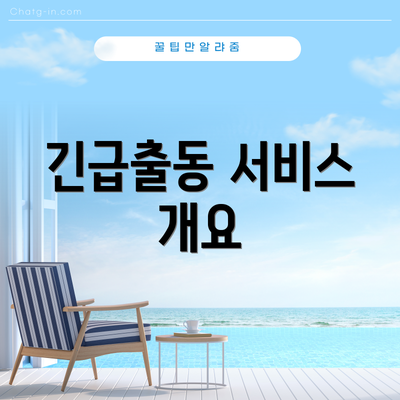 긴급출동 서비스 개요
