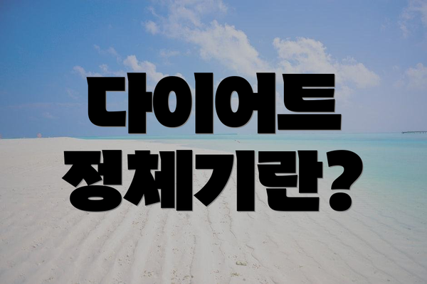 다이어트 정체기란?