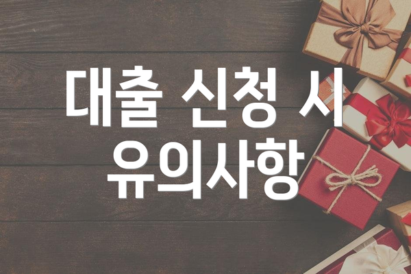 대출 신청 시 유의사항