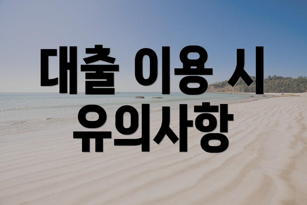 대출 이용 시 유의사항