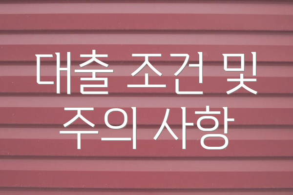 대출 조건 및 주의 사항