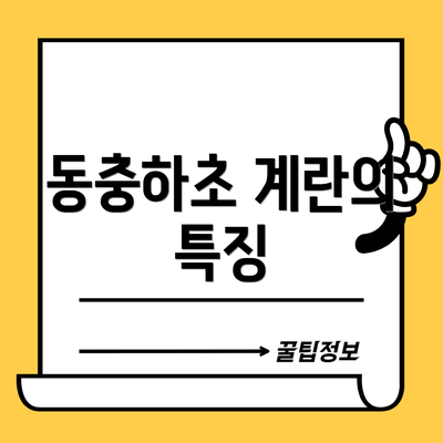 동충하초 계란의 특징