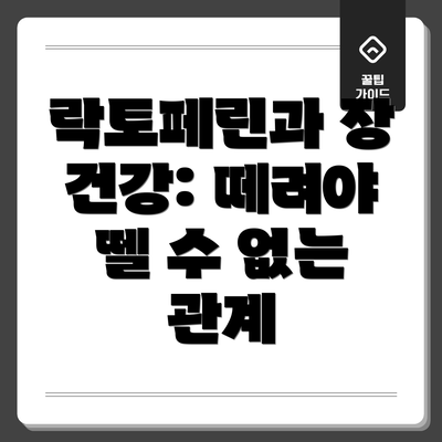락토페린과 장 건강: 떼려야 뗄 수 없는 관계